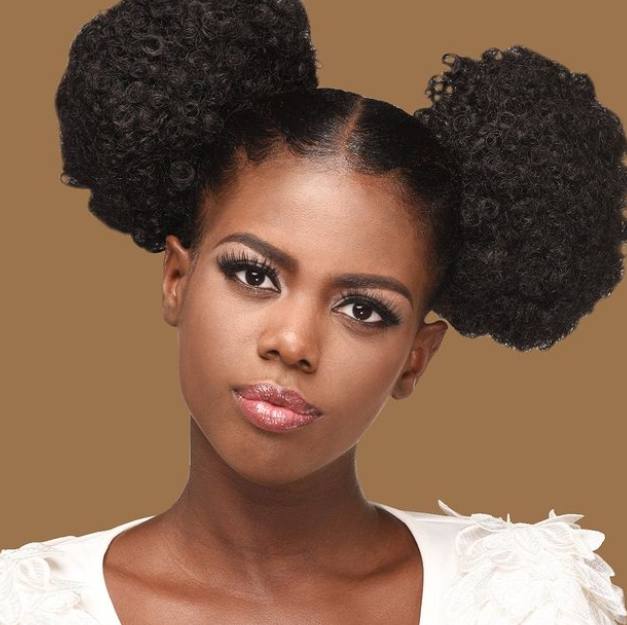 Afro Twin Afro Puff Hairstyle
