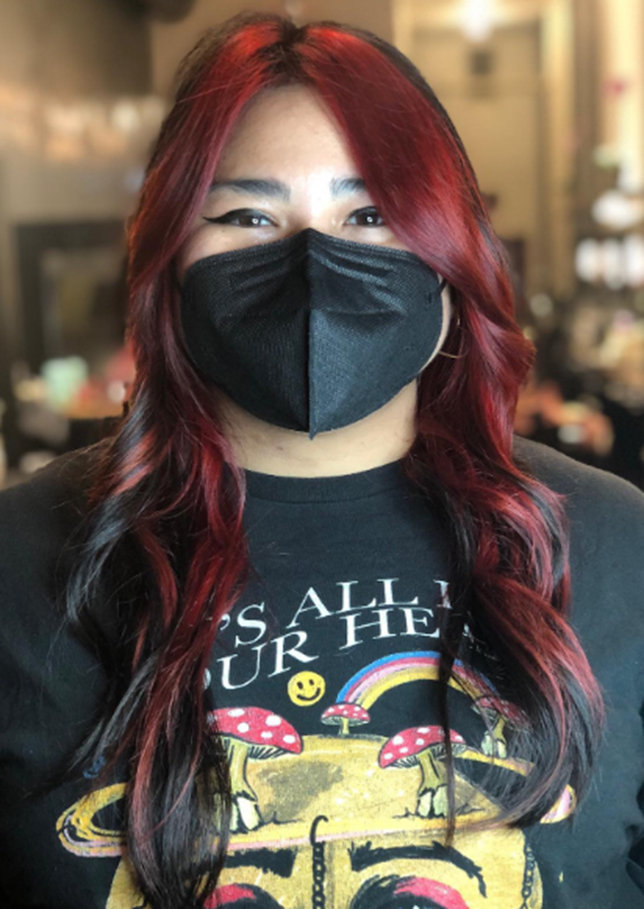 Deep Rose Dark Red Hair