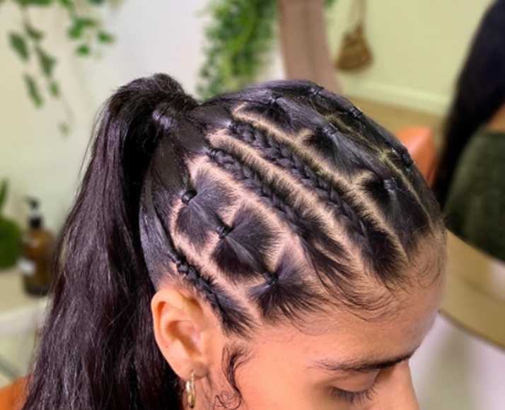 Small Braids Rubber Band Hairstyle