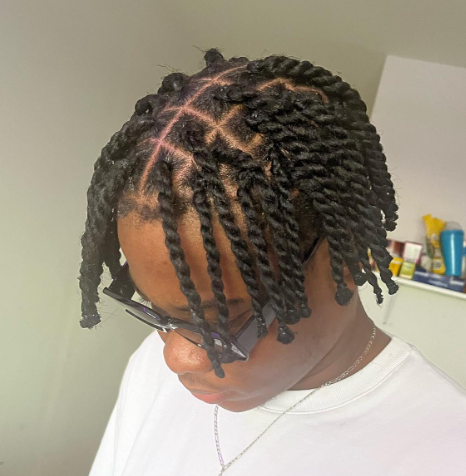 Afro Style Marley Twist Hairstyle