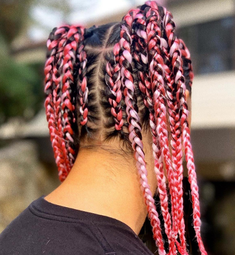 Baby Pink Two Braids Hairstyle Ponytails