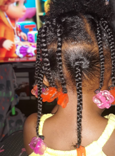 Box Braid Little Black Girl Hairstyle
