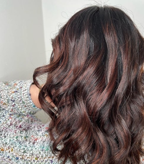 Brown Tint Dark Brown Hair With Highlights