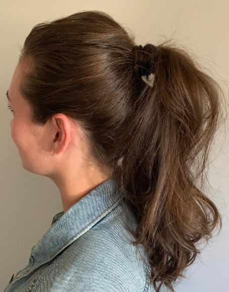 Brunette Easy Ponytail Hairstyle