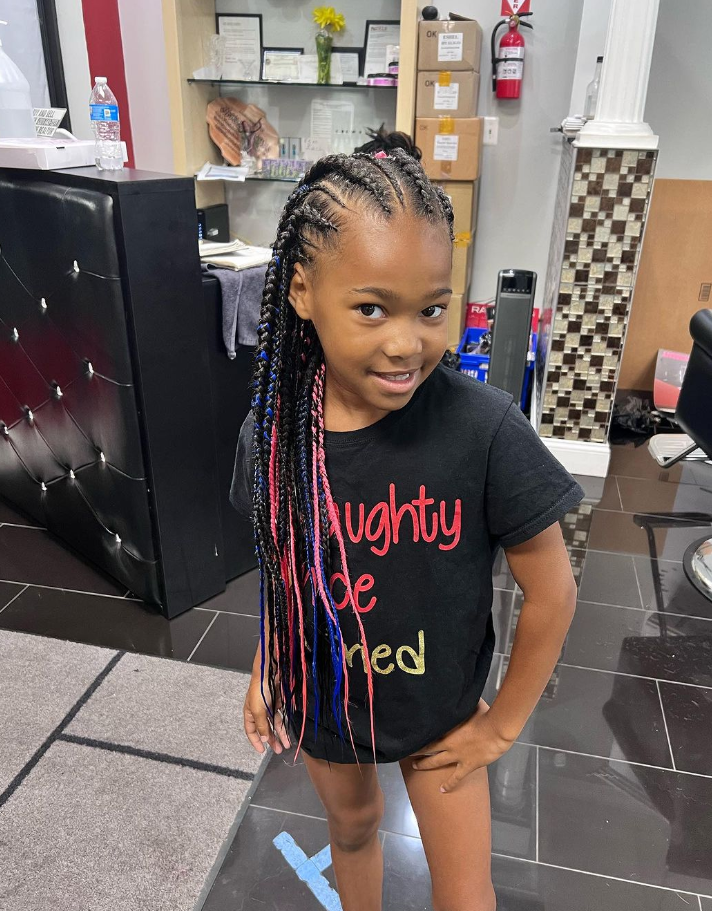 Colorful Braids Little Black Girl Hairstyle