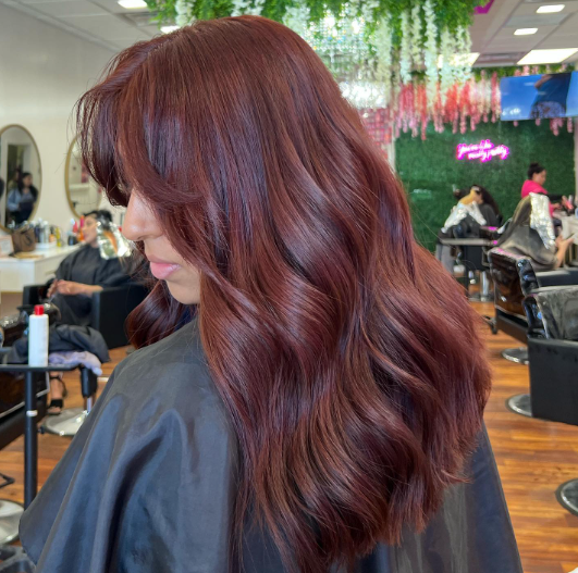 Deep Brown Hair With Red Highlights