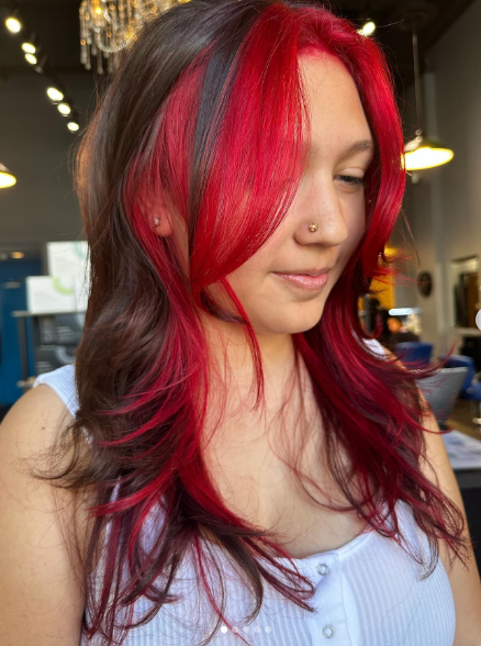 Dimensional Brown Hair With Red Highlights