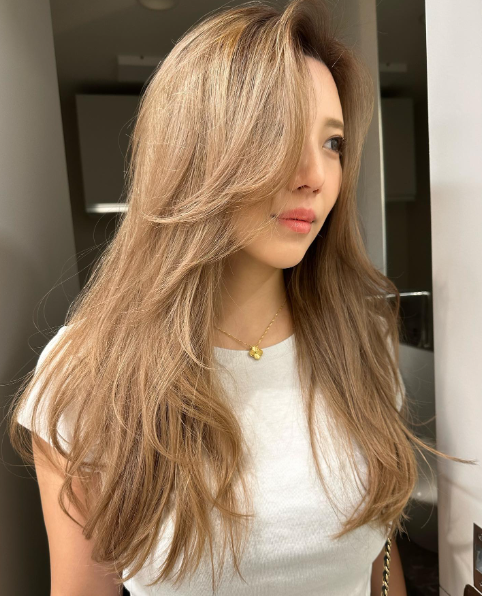 Light Beige Layered Hairstyle