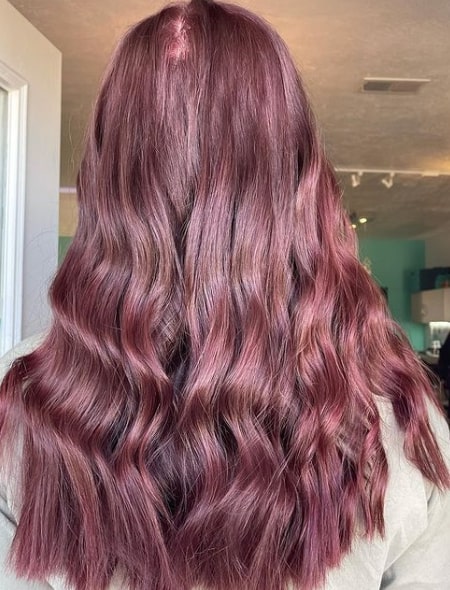 Mahogany Burgundy Hair Color