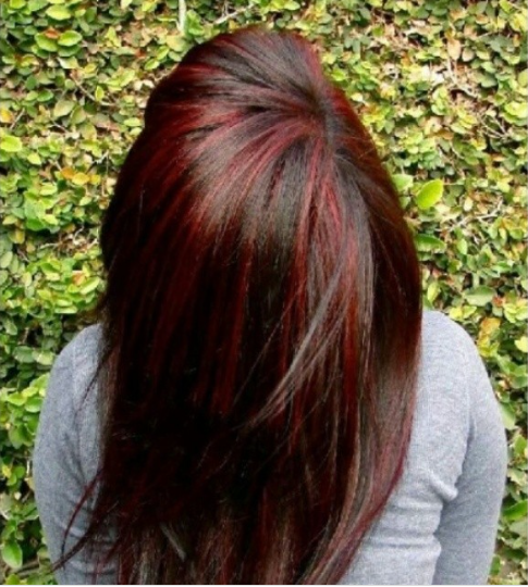 Swampy Brown Hair With Red Highlights