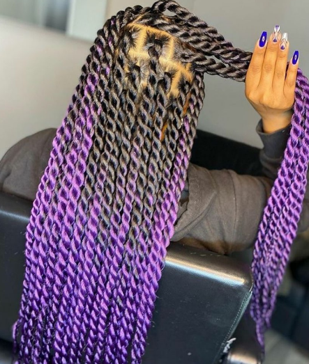 Violet Kinky Twist Braids Hairstyle