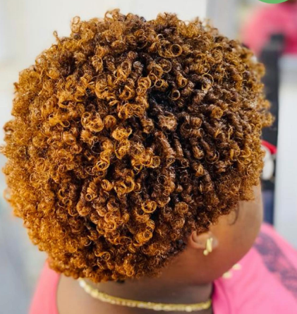 Afro Short Curly Hair Style For Women