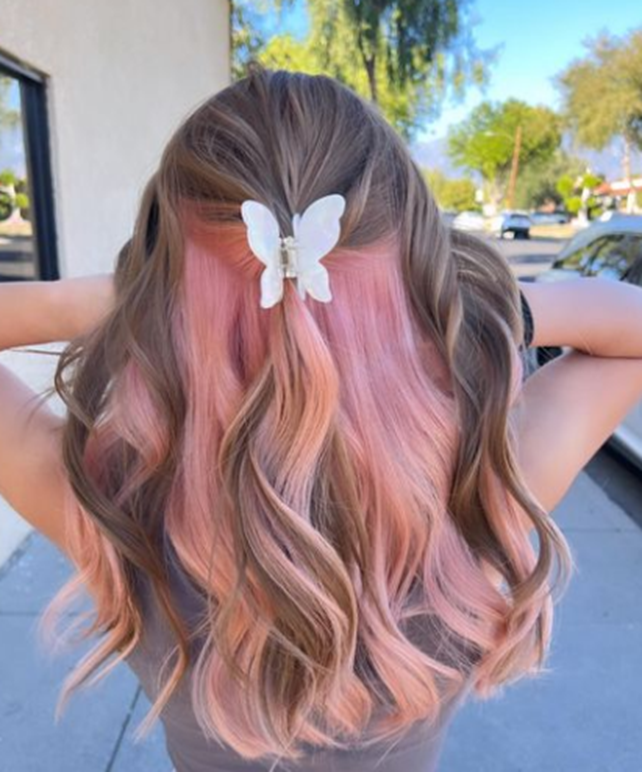 Ash Brown And Pink Underneath Hair Color Peekaboo