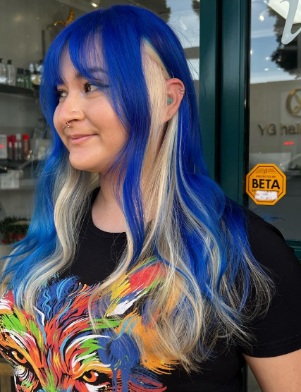 Blue And Blonde Ombre Hair Colors