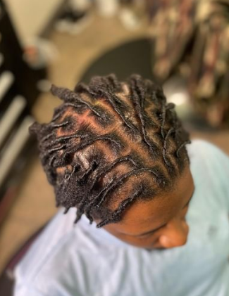  Box Two Strand Twists Hairstyle