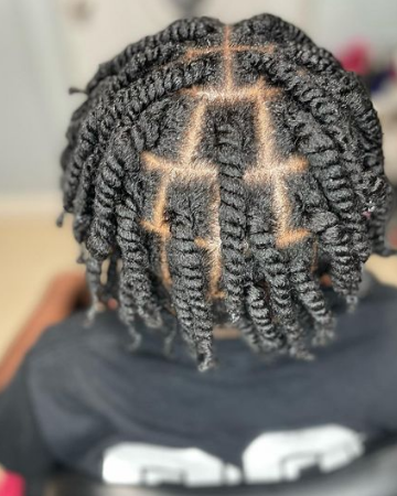 Checked Two Strand Twists Hairstyle