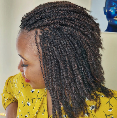 Cornrows Two Strand Twists Hairstyle