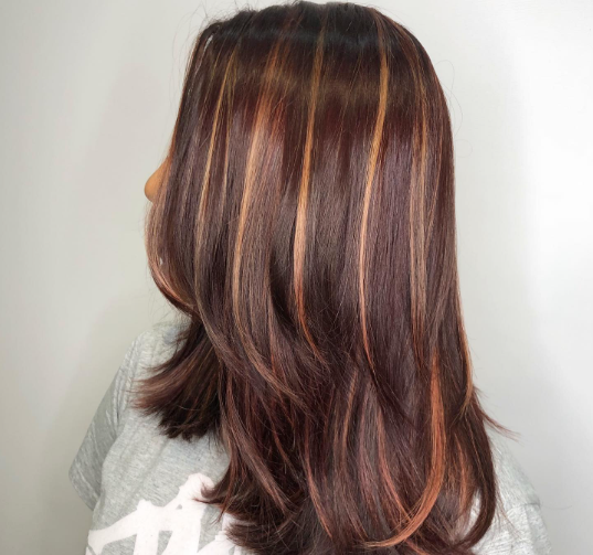 Deep Brown Dark Hair With Caramel Highlights