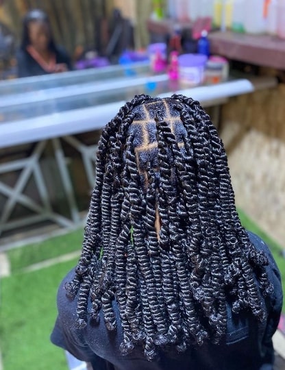 Dreadlock Passion Twists Hairstyles