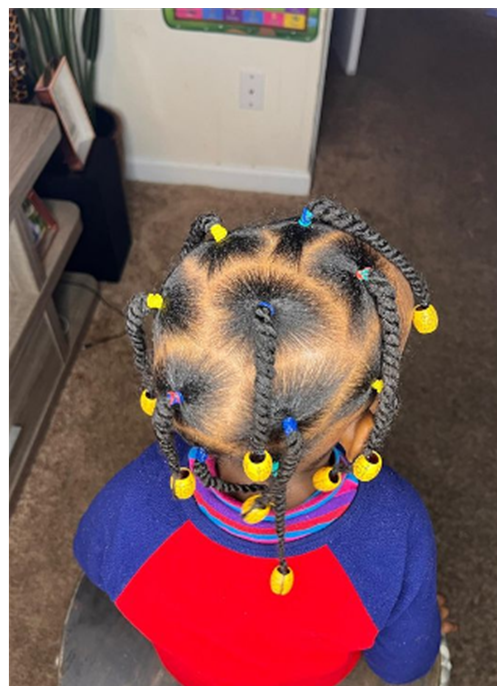 Full Hair Dreadlocks Black Toddler Hairstyle
