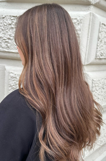 Light Brown Ombre Hair Colors