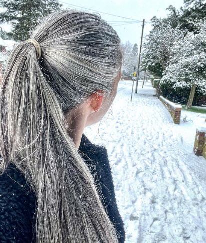 Neat Ponytail Long Gray Hair Hairstyle