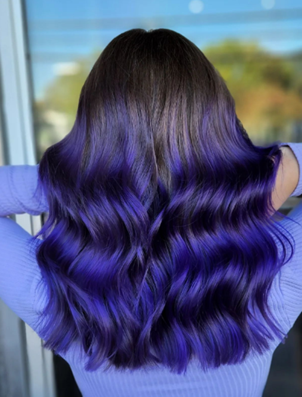 Paradise Purple Ombre Hair Idea