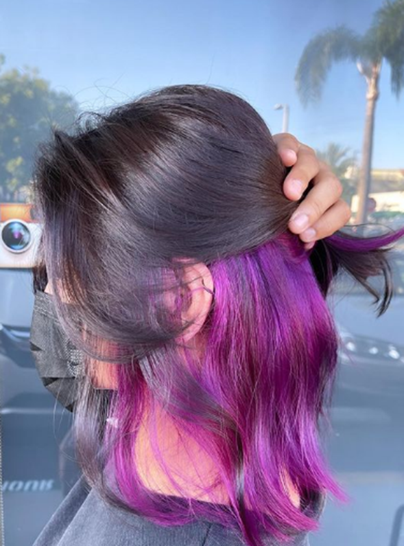 Purple And Black Underneath Hair Color Peekaboo