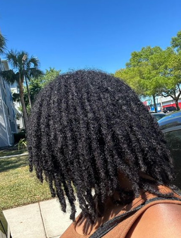 Starter Locs Two Strand Twists Hairstyle