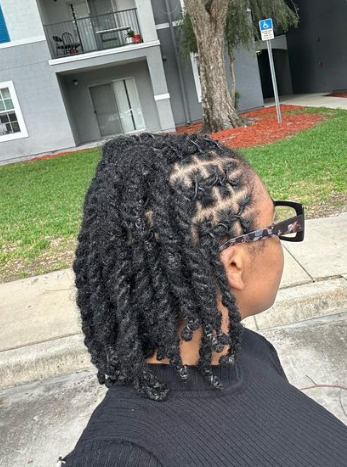 Starter Two Strand Twists Hairstyle
