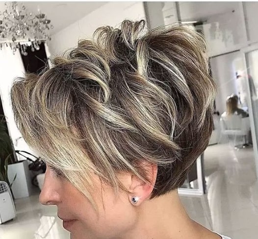 Thick Hair With Grey Highlight 