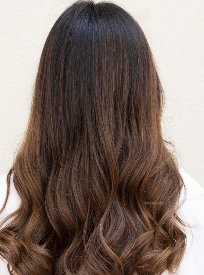 Delight Brown Hair Highlights
