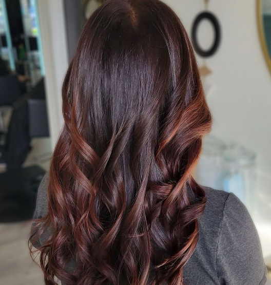 Elegant Brown Hair Highlights