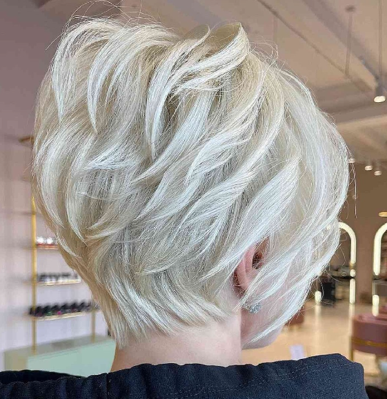 Icy Short Hairstyle With Highlight