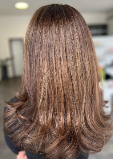 Simple Brown Hair Highlights